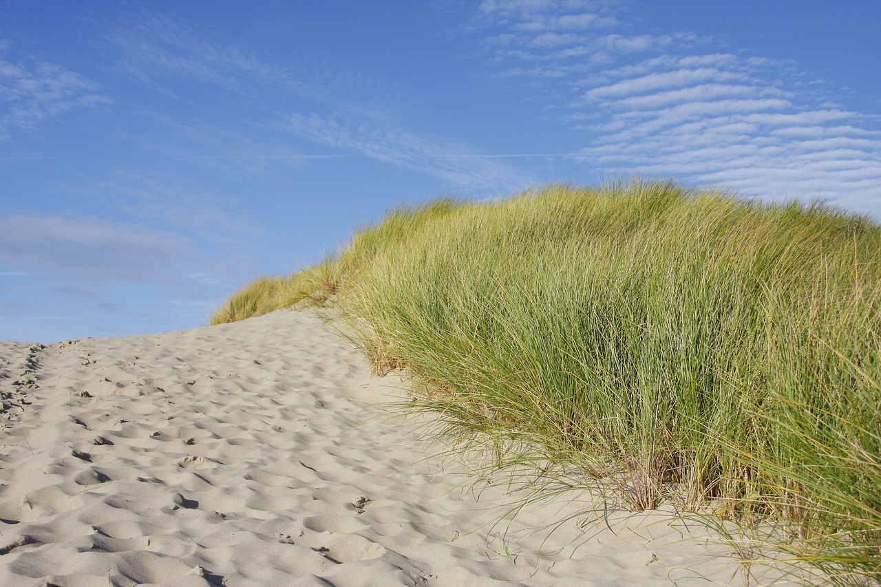 Traumaheilung an der Nordsee