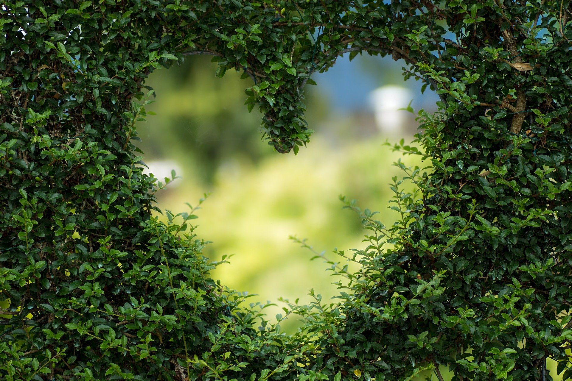 Herz als Symbol für die Anerkennung und Liebe